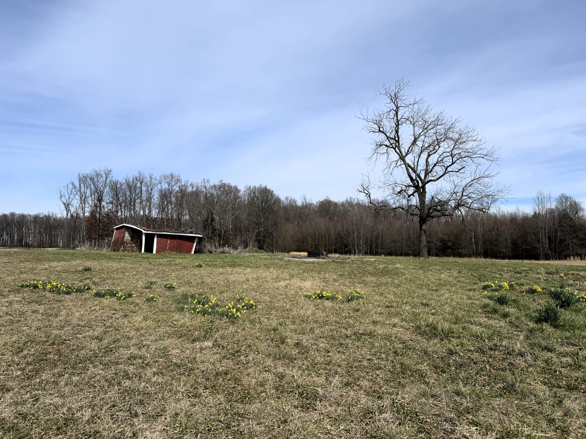 2100 Beacon Light Road Morrison, TN 37357 - Photo 34 of 36 a big yard with lots of green space