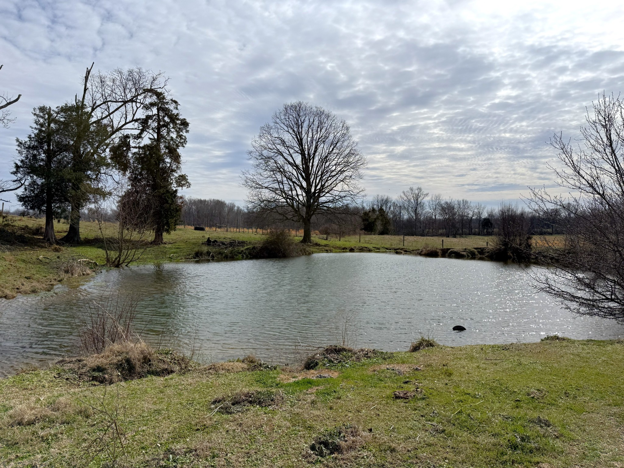 2100 Beacon Light Road Morrison, TN 37357 - Photo 7 of 36 a view of lake
