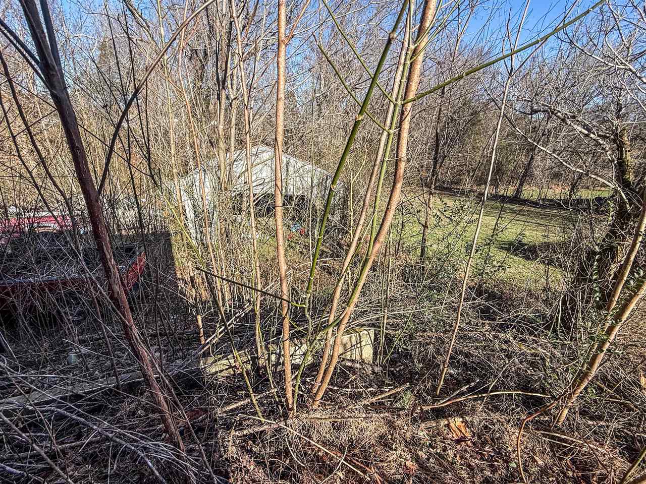 1466 Carter Church Road Adolphus, KY 42120 - Photo 17 of 18 Gallery Image 17