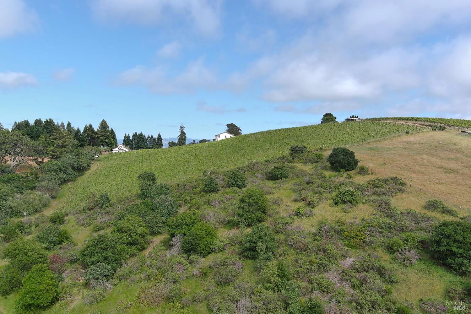 2930 Thorn Road Sebastopol, CA 95472 - Photo 1 of 26