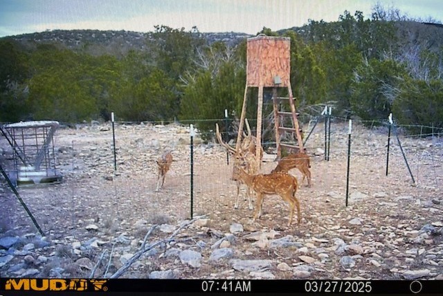74-75 Other Rocksprings, TX 78880 - Photo 2 of 9