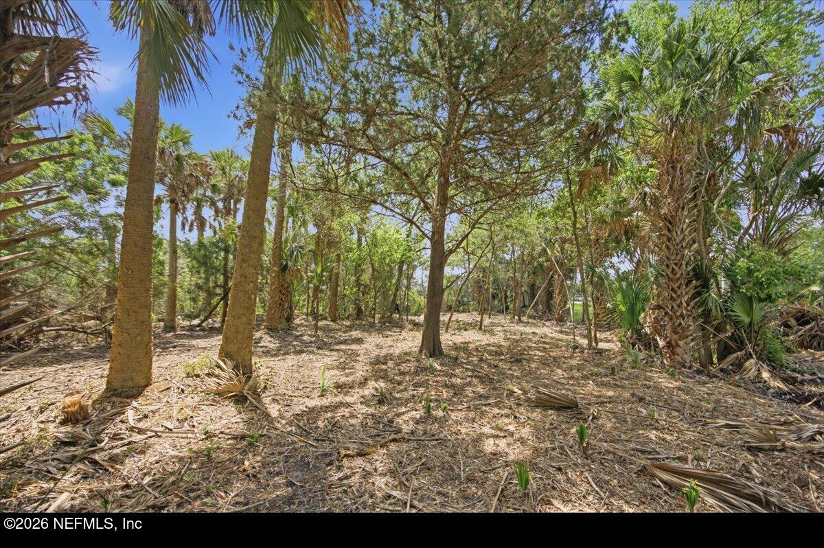 3258 Lewis Speedway St. Augustine, FL 32084 - Photo 4 of 10 a backyard of a house with lots of green space