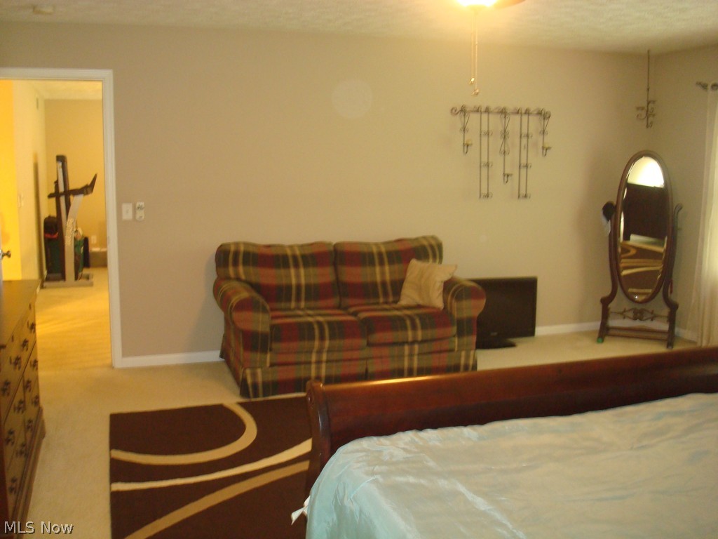 6624 Manchester Road Clinton, OH 44216 - Photo 6 of 24 Lots of space in the master bedroom for this sitting room too