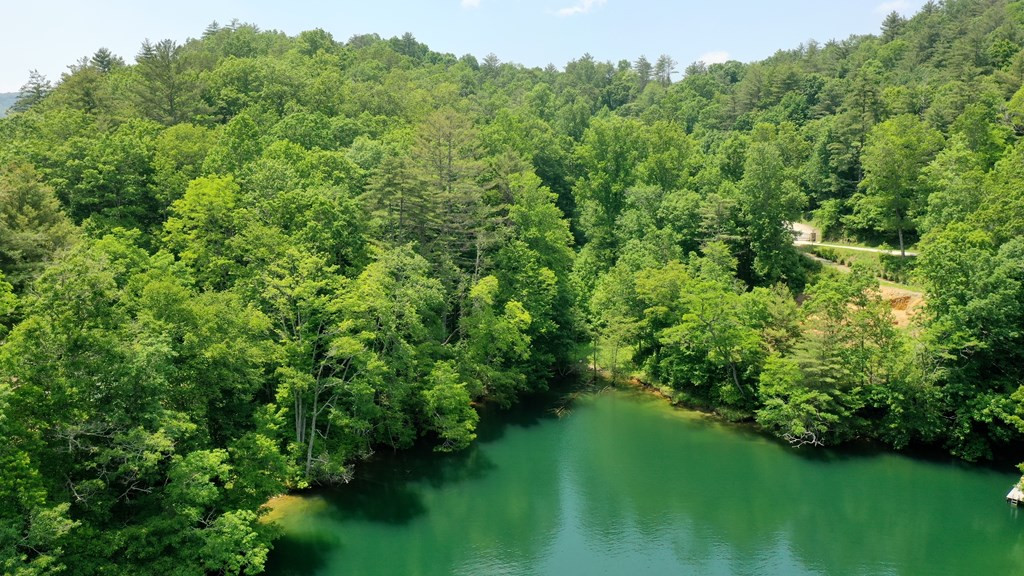 0 Old Lodge Road Topton, NC 28781 - Photo 14 of 14