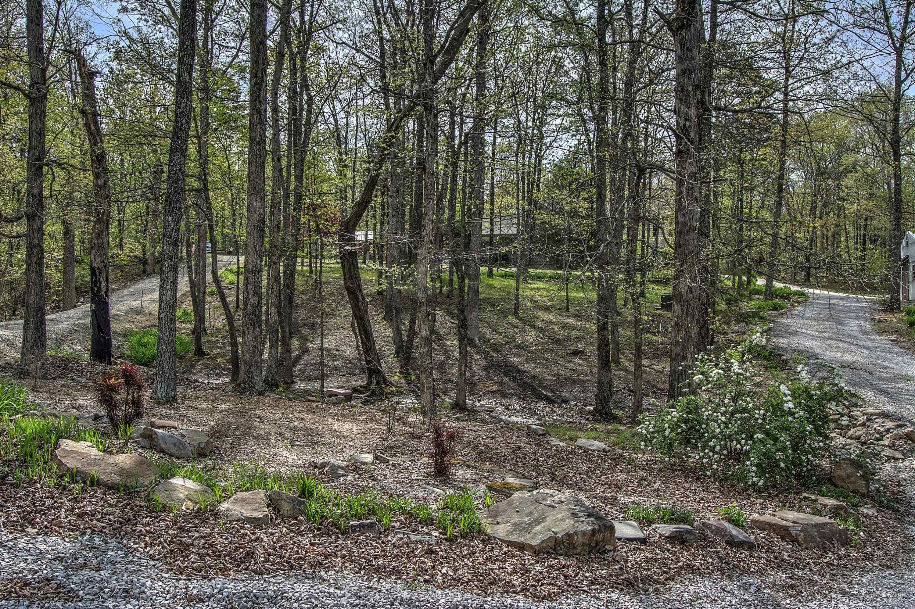 5432 Scenic Highway Rising Fawn, GA 30738 - Photo 43 of 47 RCamera16