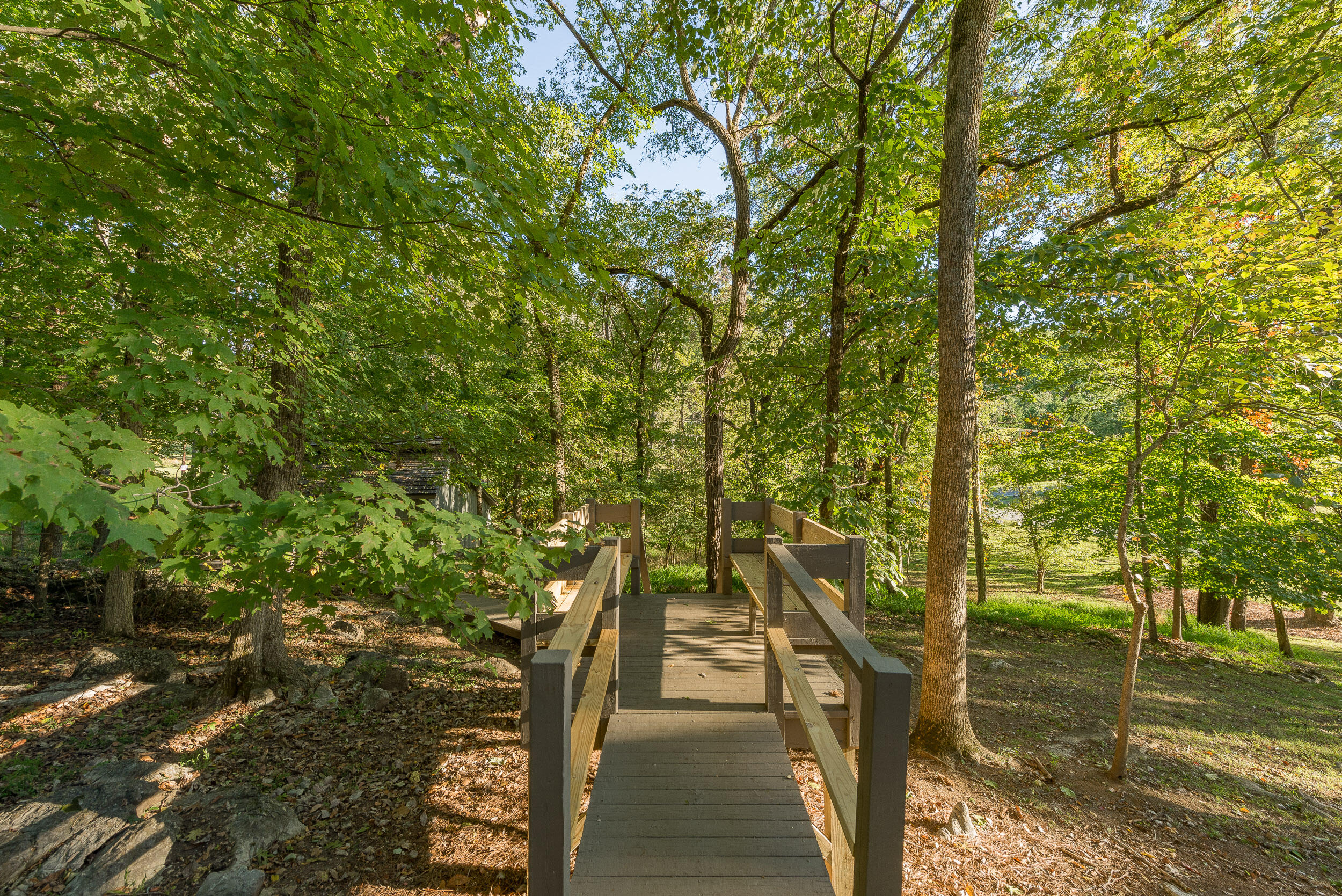 4403 Leedy Road Kingsport, TN 37664 - Photo 62 of 98 DSC_6502-HDR