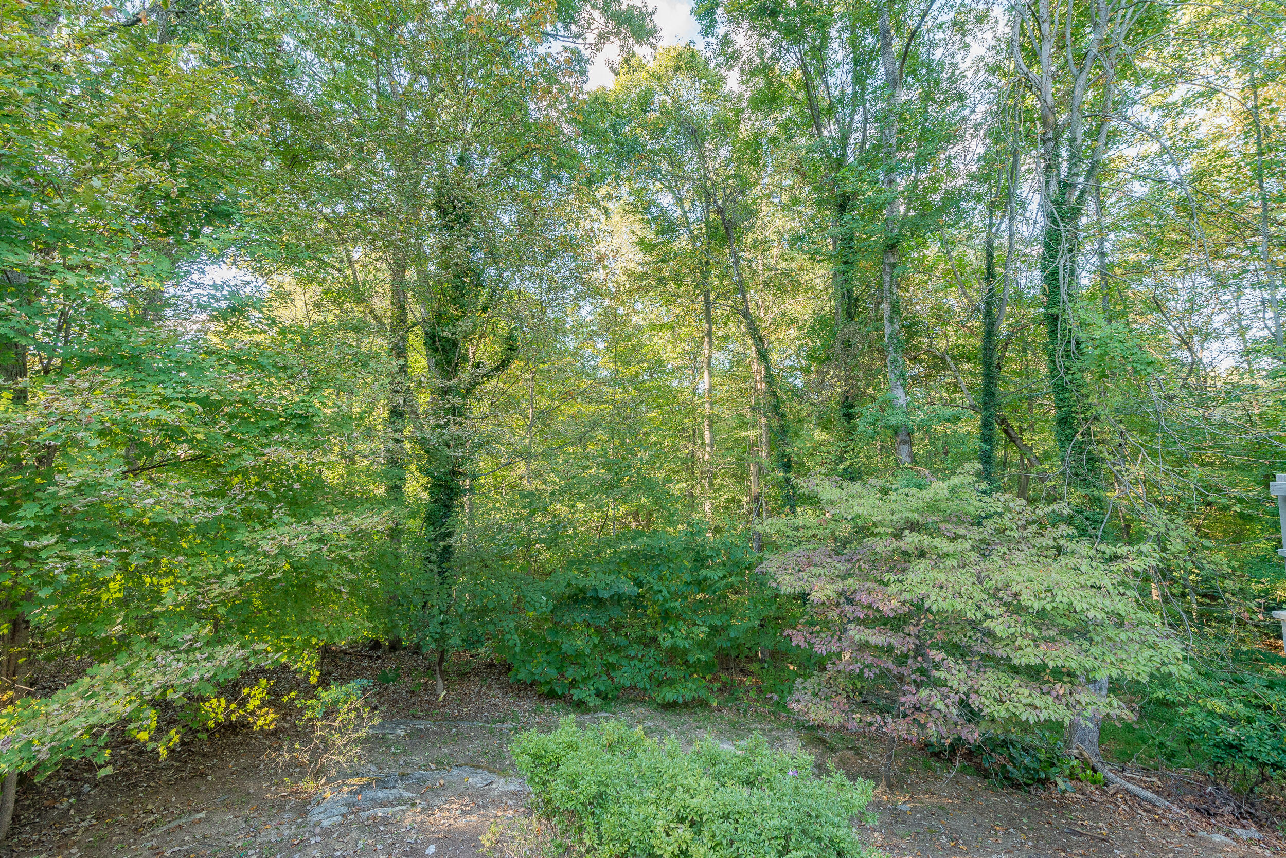 4403 Leedy Road Kingsport, TN 37664 - Photo 80 of 98 DSC_6592-HDR