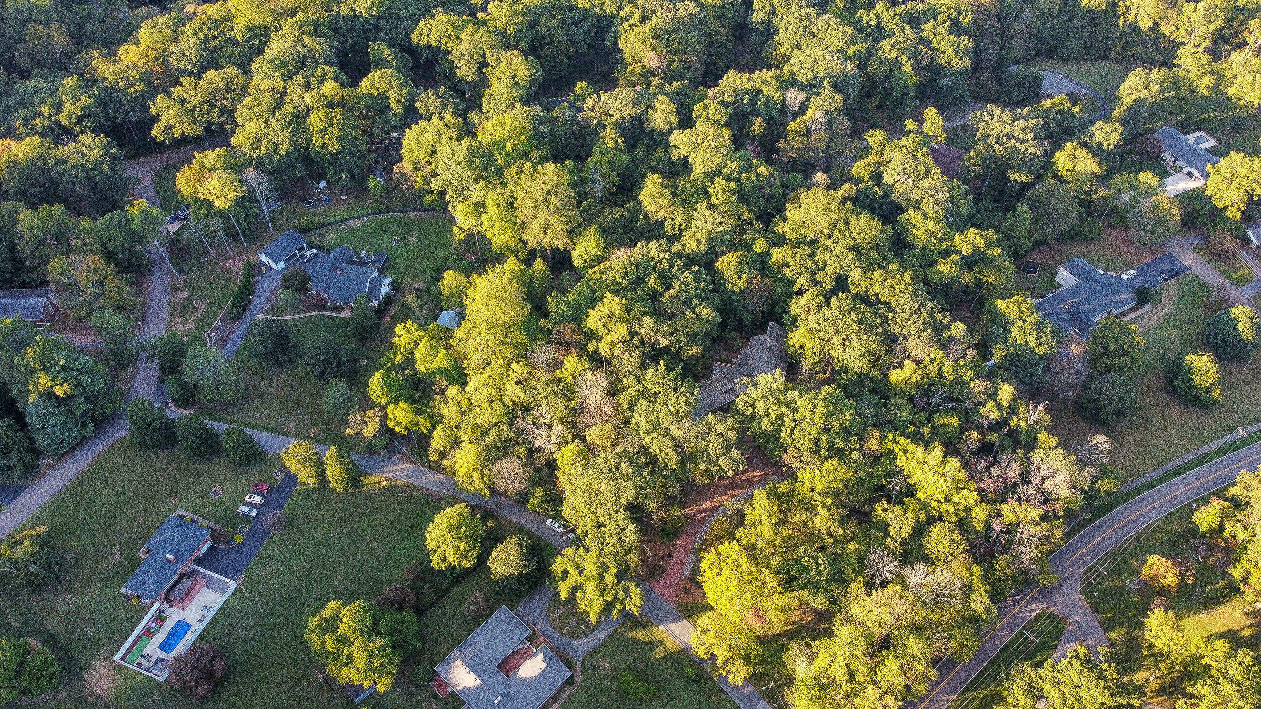 4403 Leedy Road Kingsport, TN 37664 - Photo 96 of 98 Aerial 2