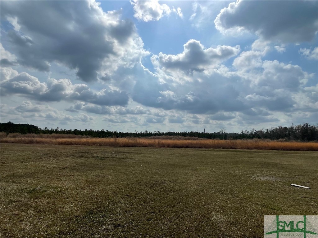 1355 Shawnee Egypt Road Springfield, GA 31329 - Photo 11 of 12