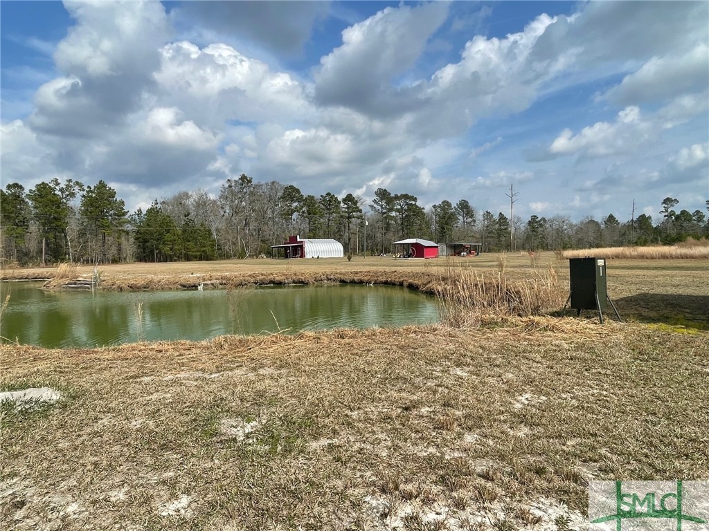 1355 Shawnee Egypt Road Springfield, GA 31329 - Photo 6 of 12