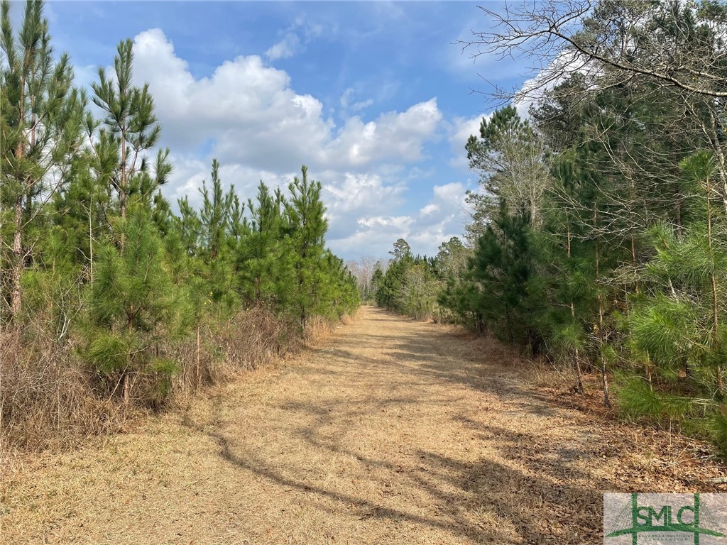 1355 Shawnee Egypt Road Springfield, GA 31329 - Photo 8 of 12