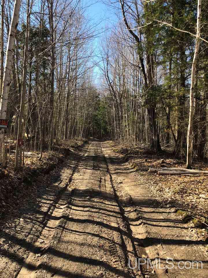 Tbd Ee 25 Road Rapid River, MI 49878 - Photo 4 of 14