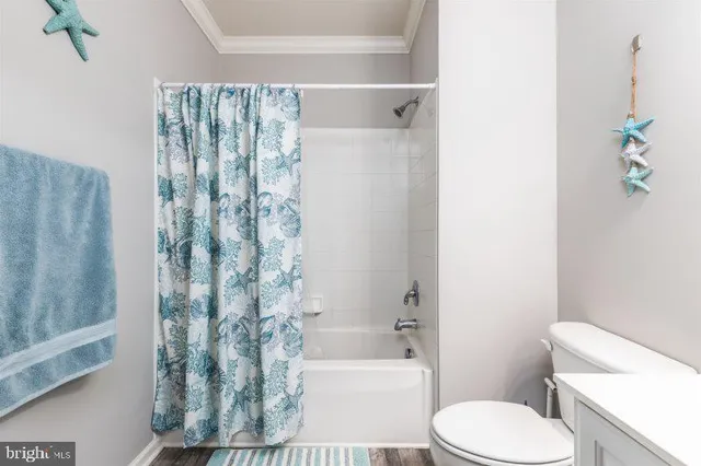 a bathroom with a toilet and a bathtub