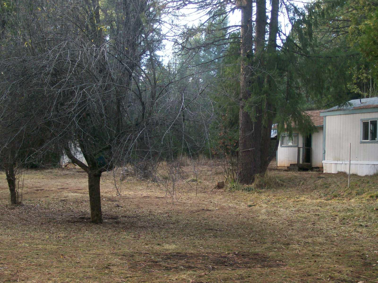 7602 Linda Road Shingletown, CA 96088 - Photo 3 of 8 2006-01-01 12.22.25