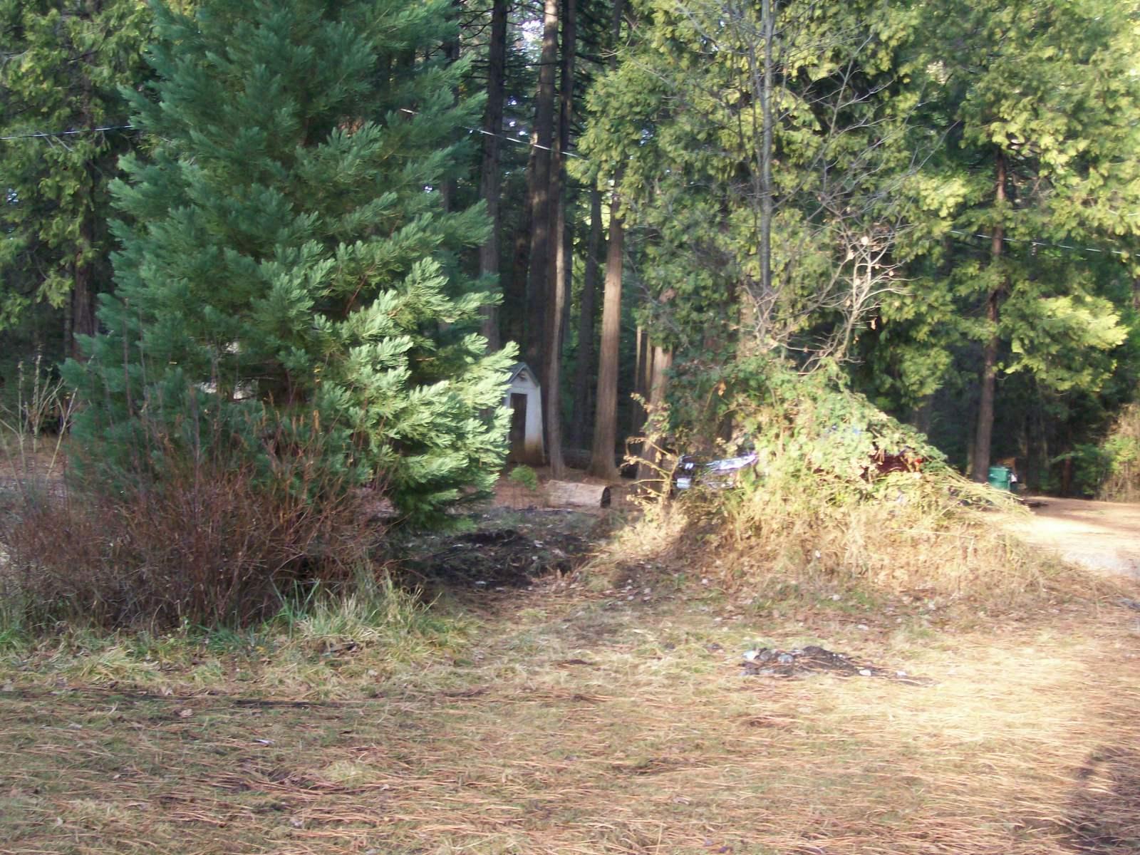 7602 Linda Road Shingletown, CA 96088 - Photo 7 of 8 2006-01-01 12.21.38