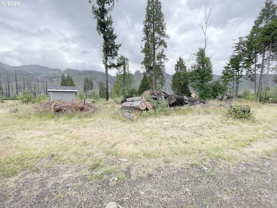 91163 Yeager Road Blue River, OR 97413 - Photo 28 of 29