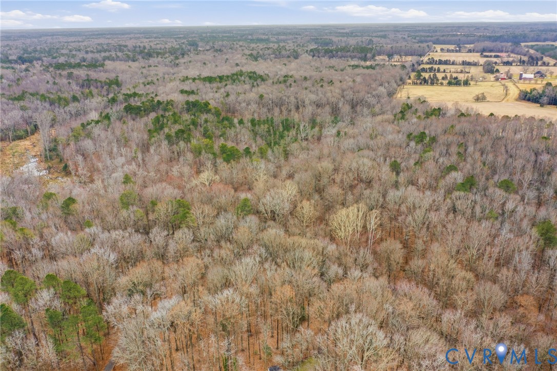 19.7001 Ruffin Road Prince George, VA 23875 - Photo 12 of 14 a view of a dry yard with green space