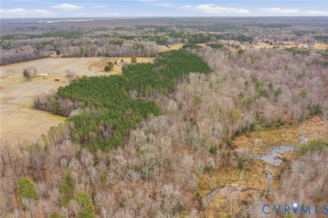 19.7001 Ruffin Road Prince George, VA 23875 - Photo 2 of 14 a view of lake with mountain