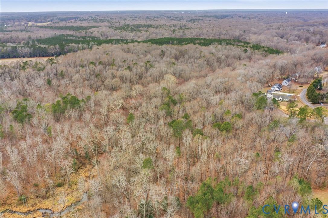 19.7001 Ruffin Road Prince George, VA 23875 - Photo 7 of 14 a view of a dry field with trees in the background
