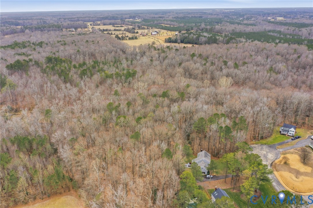 19.7001 Ruffin Road Prince George, VA 23875 - Photo 9 of 14 a view of outdoor space and mountain view