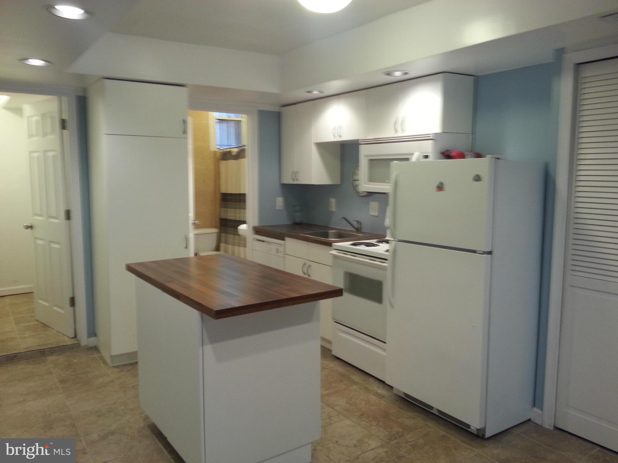 706 7th Street Northeast Washington, DC 20002 - Photo 15 of 21 Lower Level Kitchen (2 of 2)