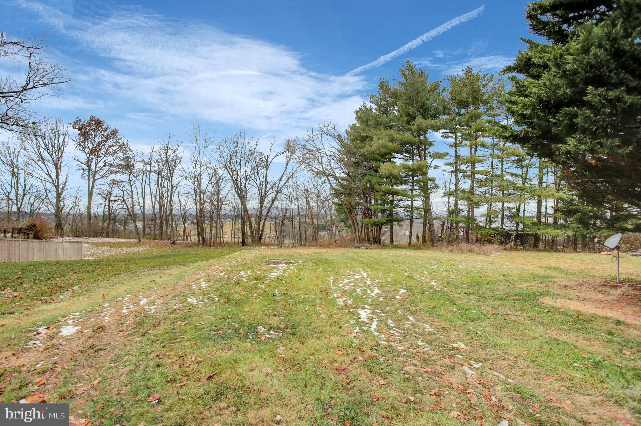 16944 Shinham Road Hagerstown, MD 21740 - Photo 27 of 29 a view of yard with tree and trees