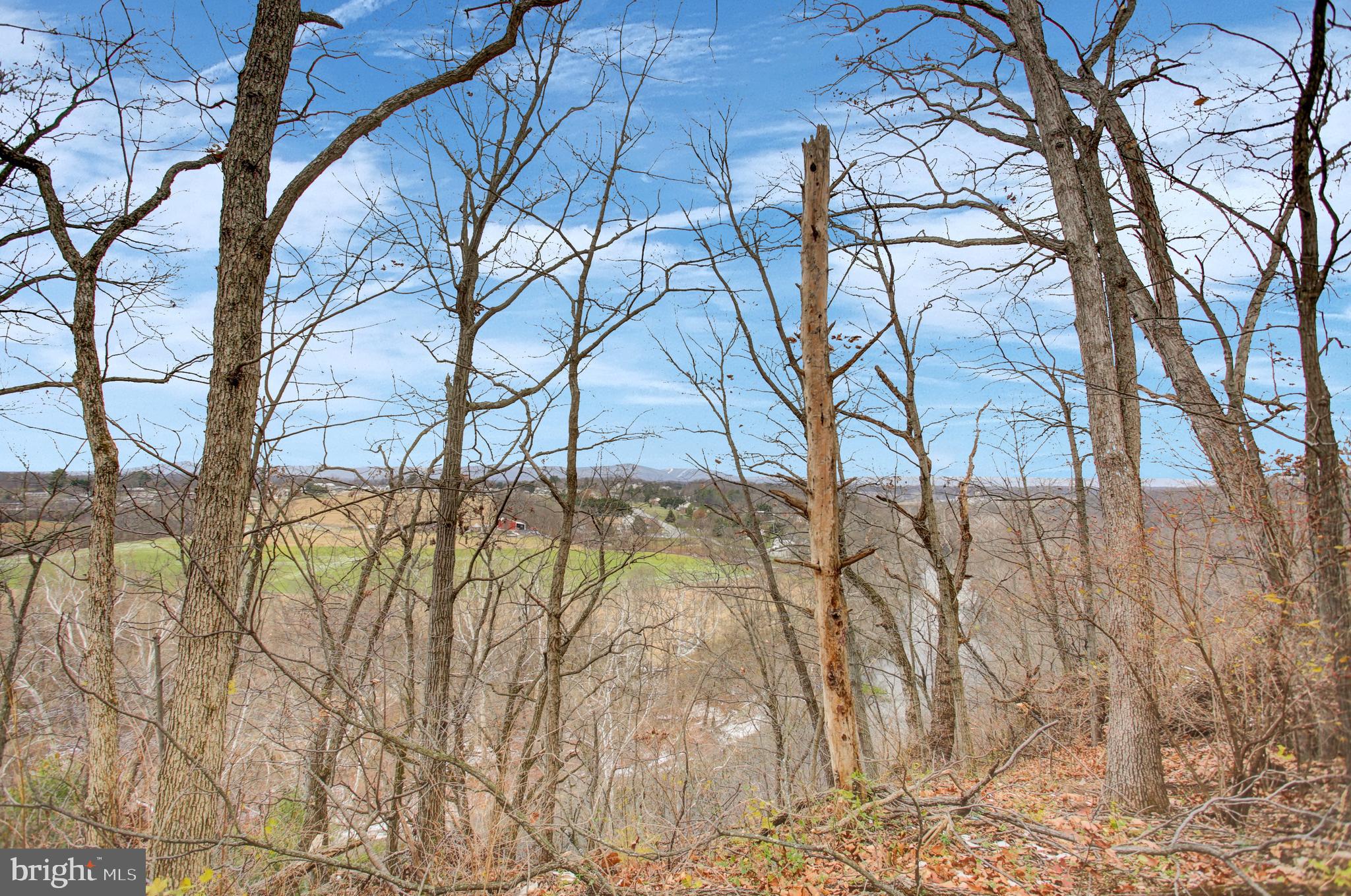 16944 Shinham Road Hagerstown, MD 21740 - Photo 29 of 29 a backyard of a house with lots of green space