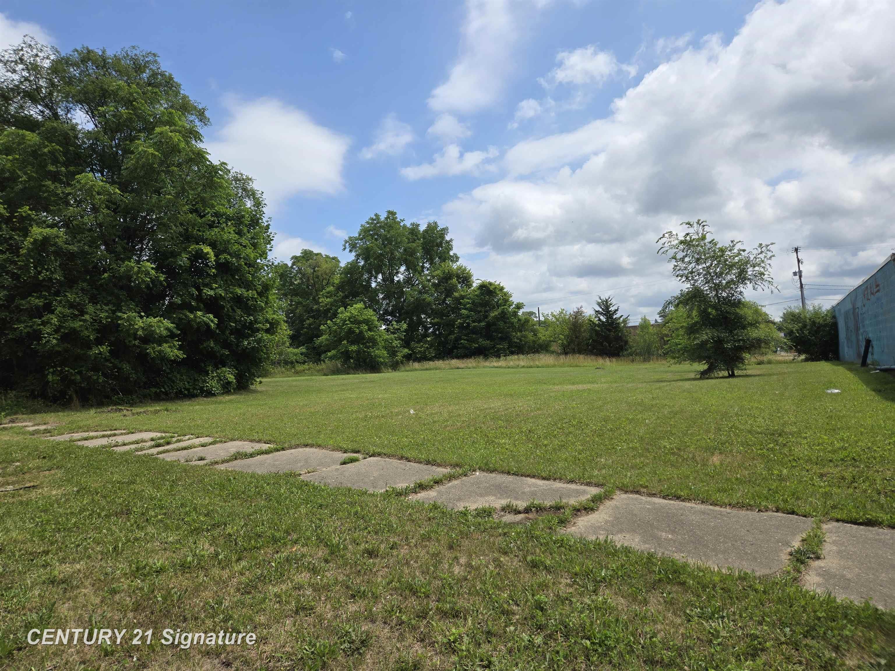 Donaldson Street Flint, MI 48504 - Photo 4 of 5