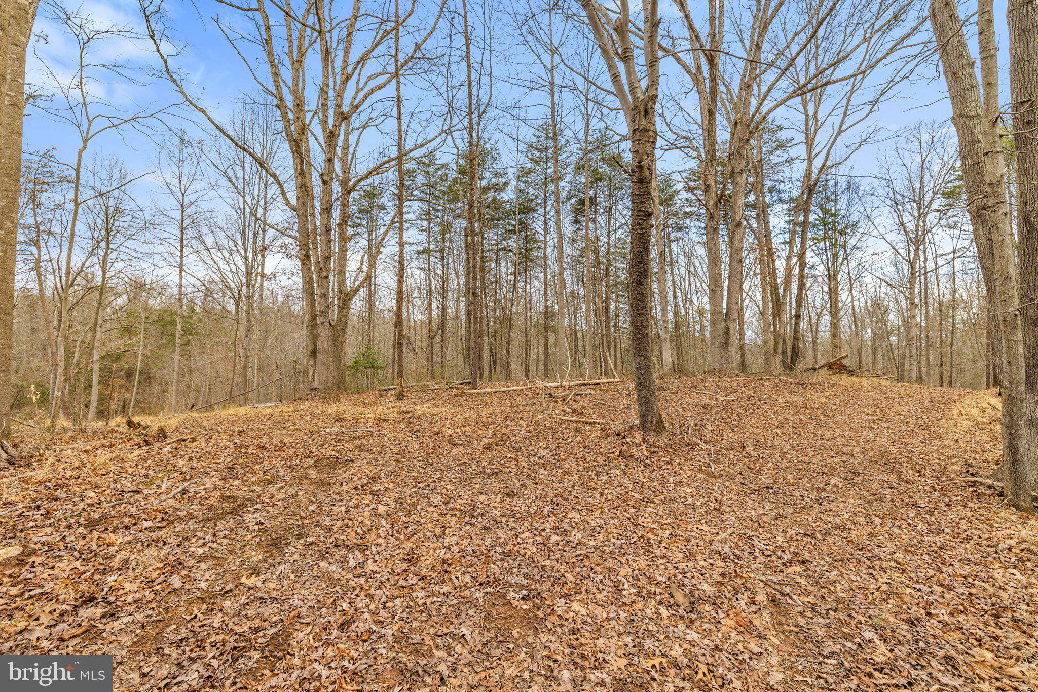 12142 Crest Hill Road Hume, VA 22639 - Photo 11 of 24 Gallery Image 11