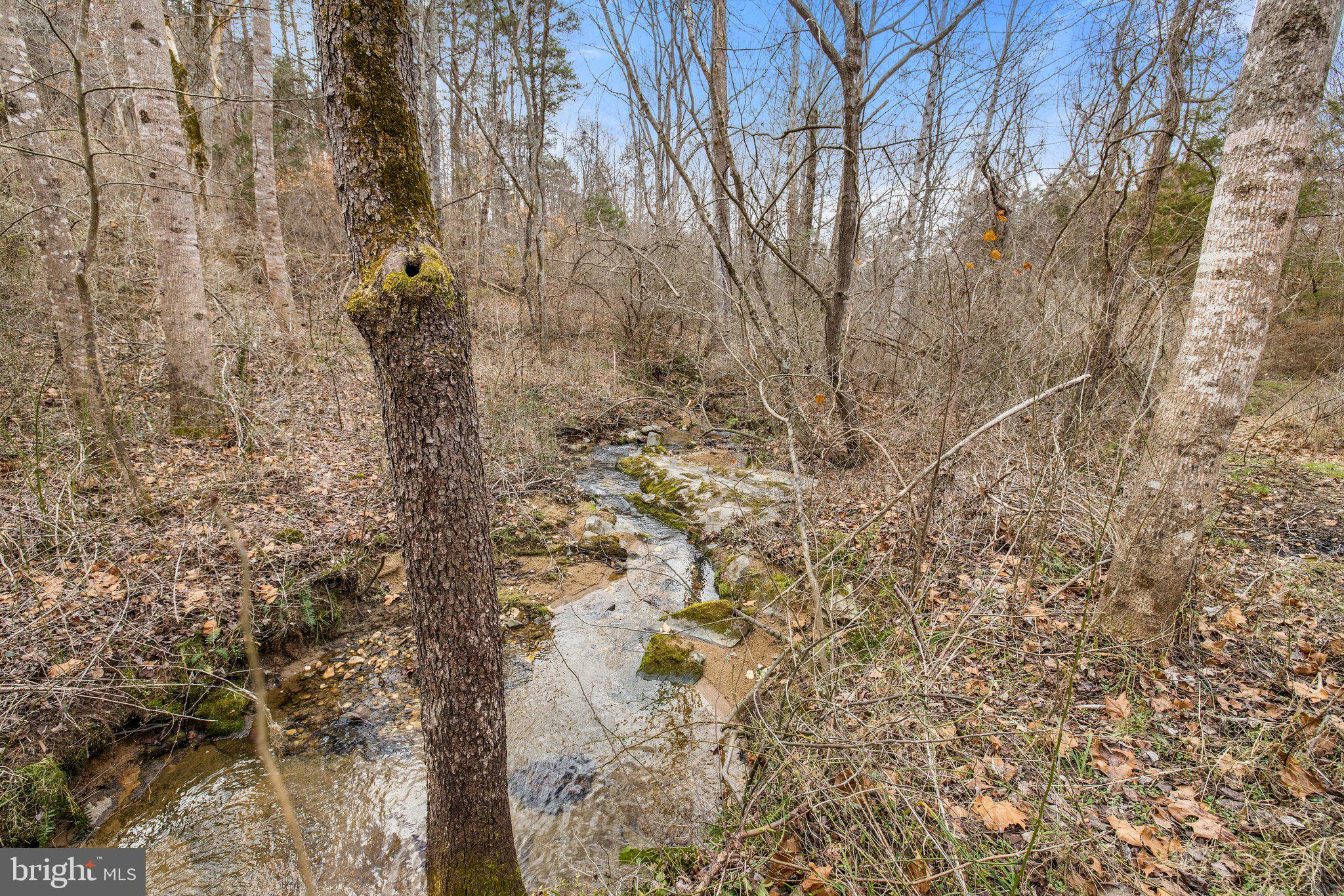 12142 Crest Hill Road Hume, VA 22639 - Photo 20 of 24 Gallery Image 20