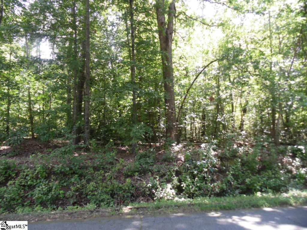 19901 Hawkins Road Travelers Rest, SC 29690 - Photo 1 of 2 Gallery Image 1