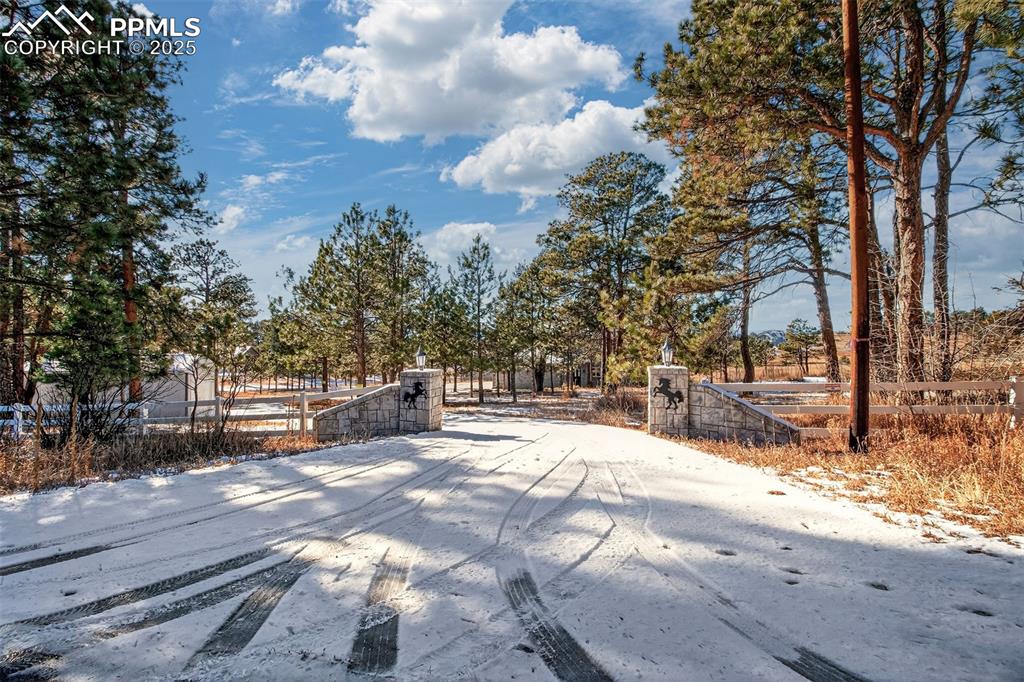 13950 Herring Road Colorado Springs, CO 80908 - Photo 42 of 50 a view of a yard with snow on the road