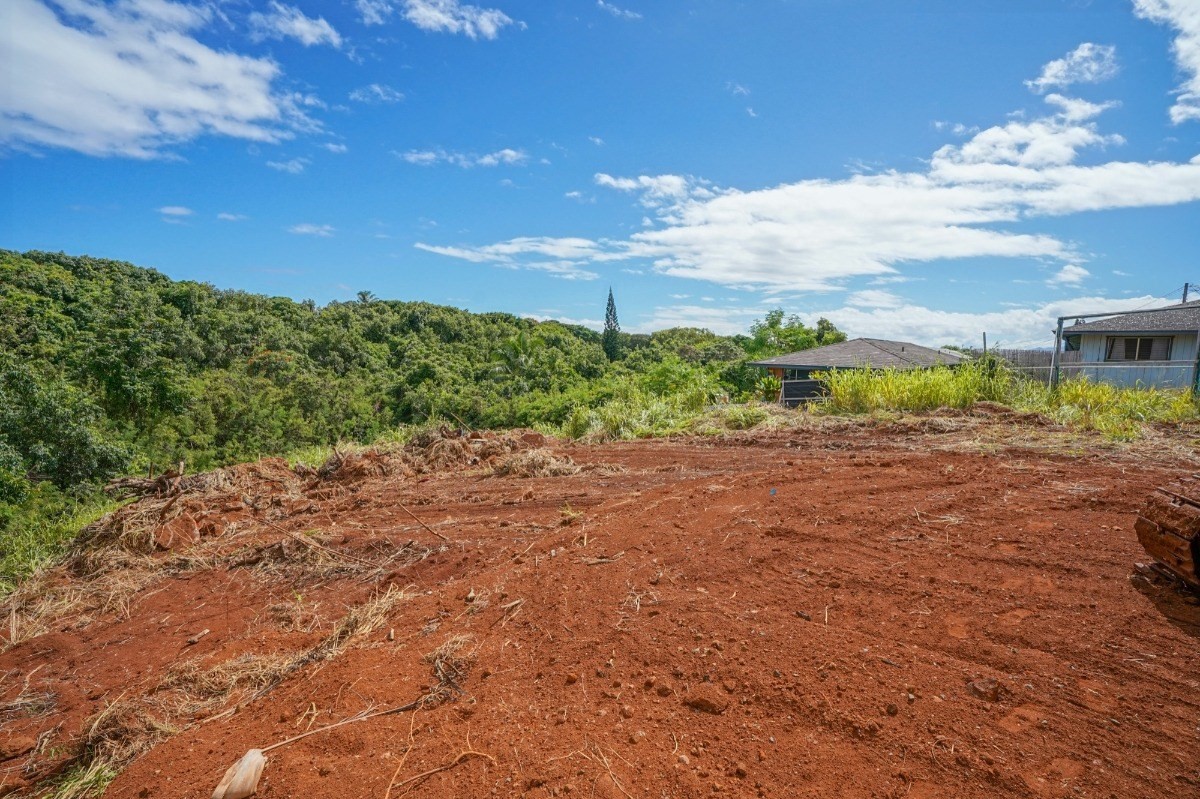 19 B Pelehu Road Kapaa, HI 96746 - Photo 21 of 21 Gallery Image 21