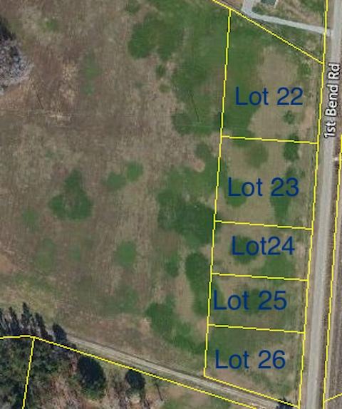 3 1st Bend Road Harleyville, SC 29448 - Photo 1 of 1 Aerial Pics