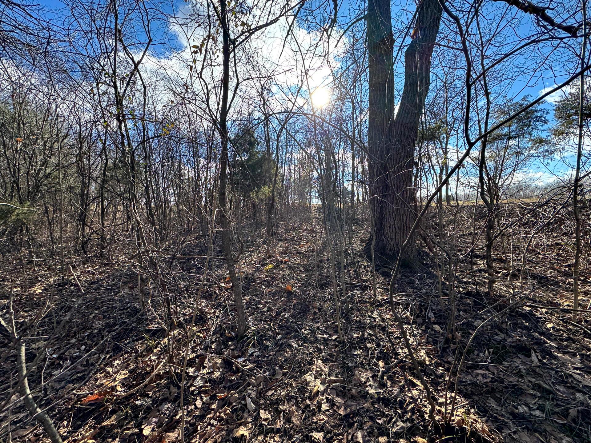 0 Golf Course Road, Unit TRACT 3 SKYLINEACRES) Waverly, OH 45690 - Photo 29 of 34 CT-29