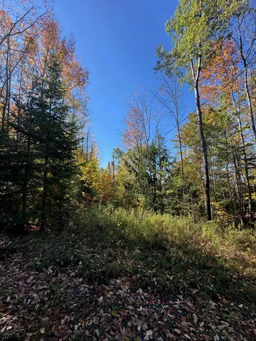 $165,000 | 80 Wade Road, Moretown, VT 05660