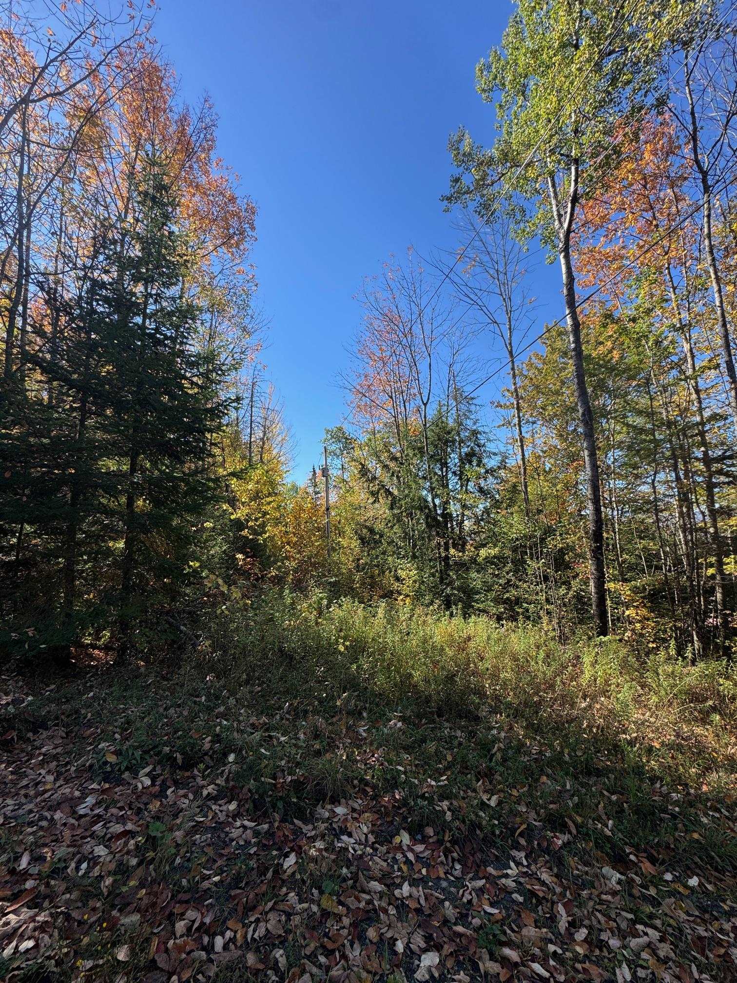 80 Wade Road Moretown, VT 05660 - Photo 12 of 19