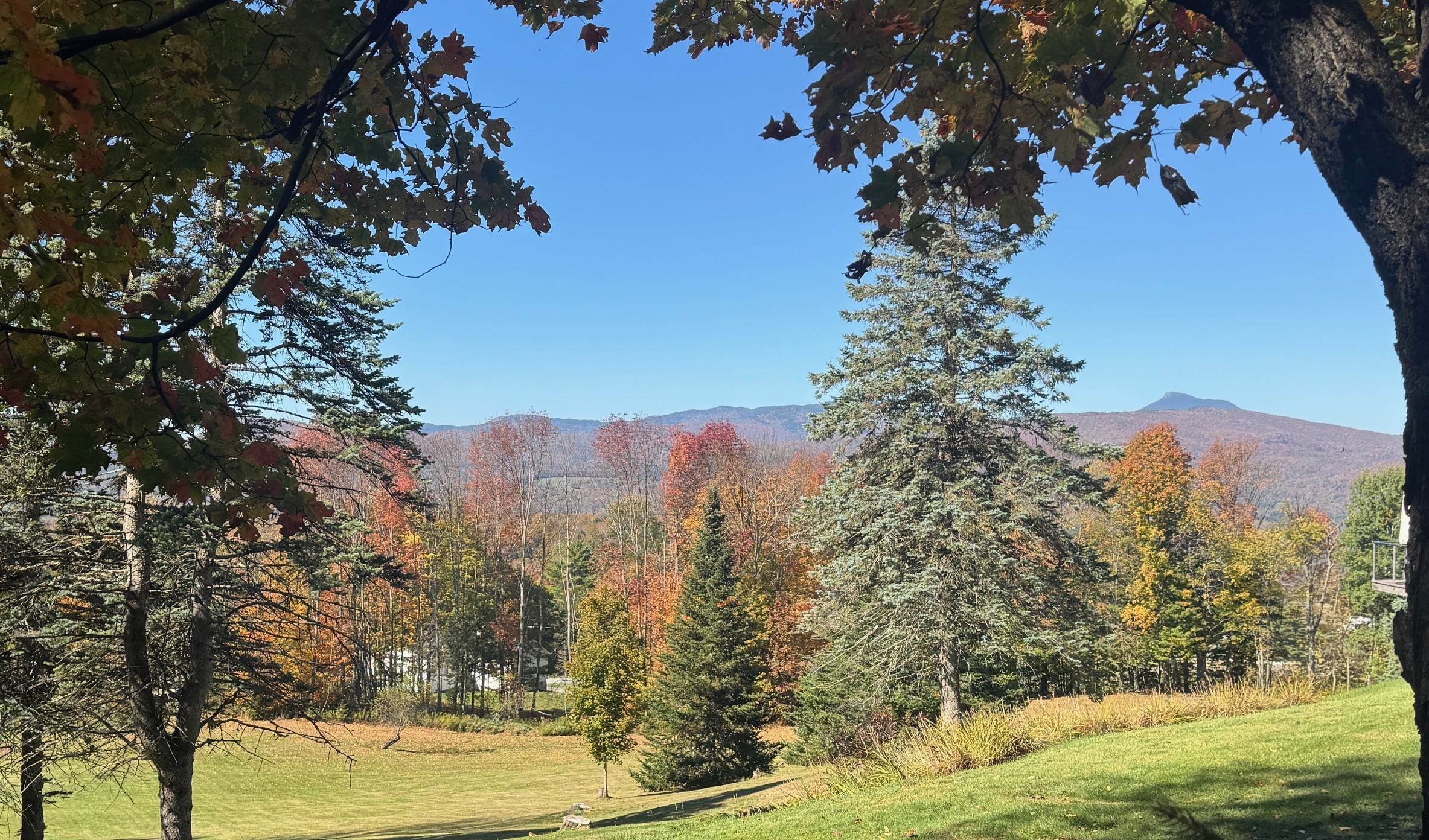 80 Wade Road Moretown, VT 05660 - Photo 15 of 19