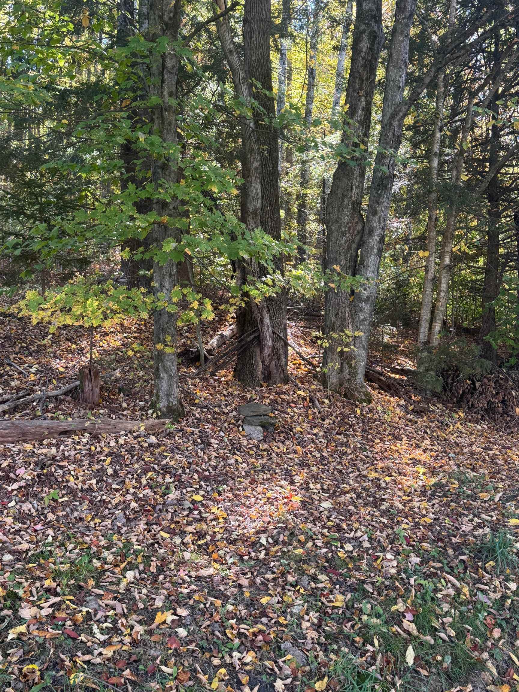 80 Wade Road Moretown, VT 05660 - Photo 16 of 19