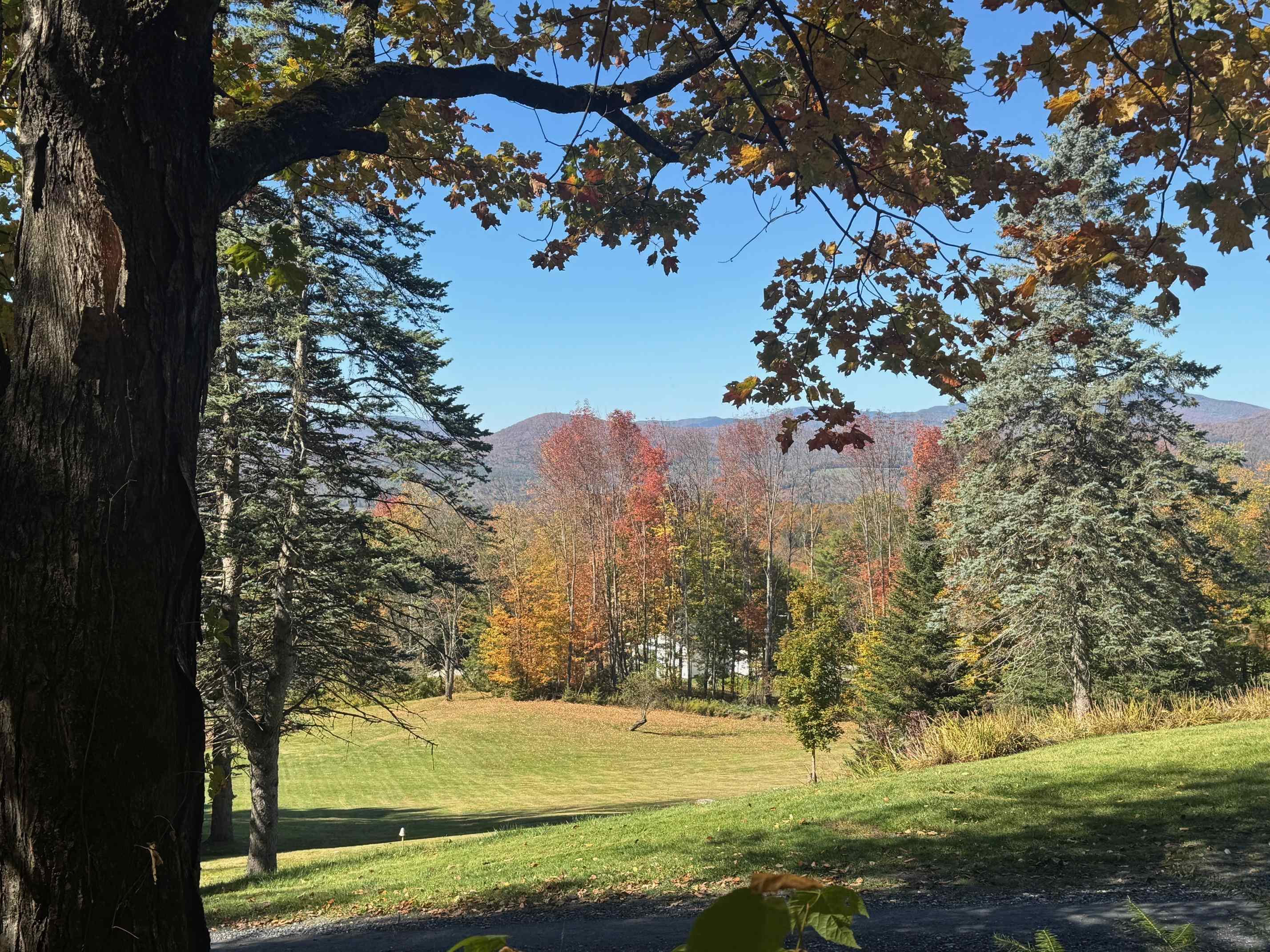 80 Wade Road Moretown, VT 05660 - Photo 17 of 19