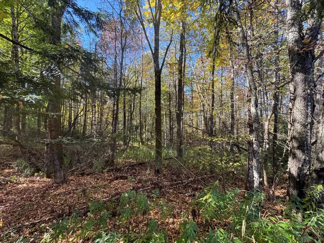 $165,000 | 80 Wade Road, Moretown, VT 05660