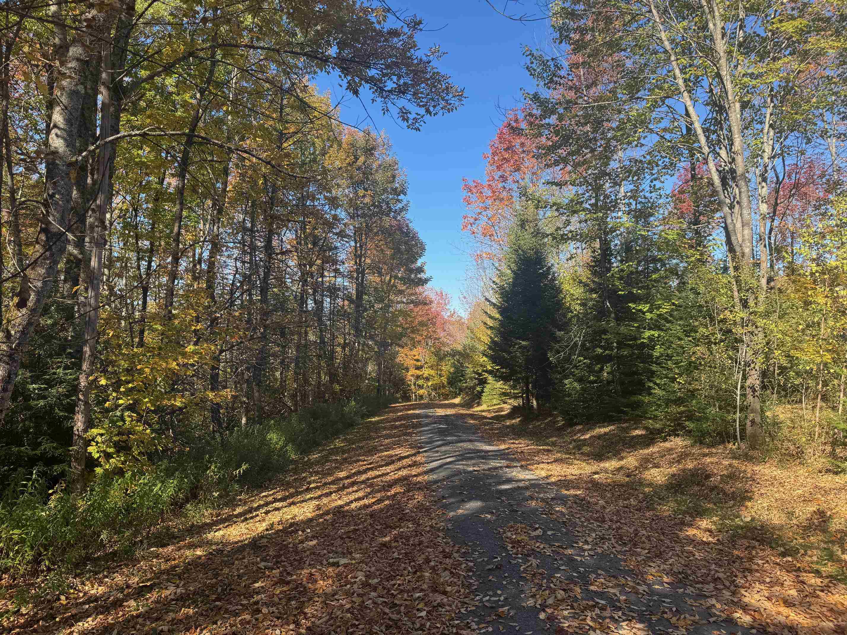 80 Wade Road Moretown, VT 05660 - Photo 19 of 19