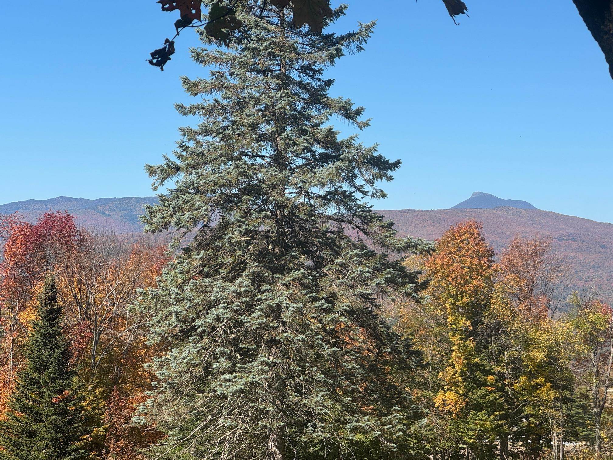 80 Wade Road Moretown, VT 05660 - Photo 2 of 19