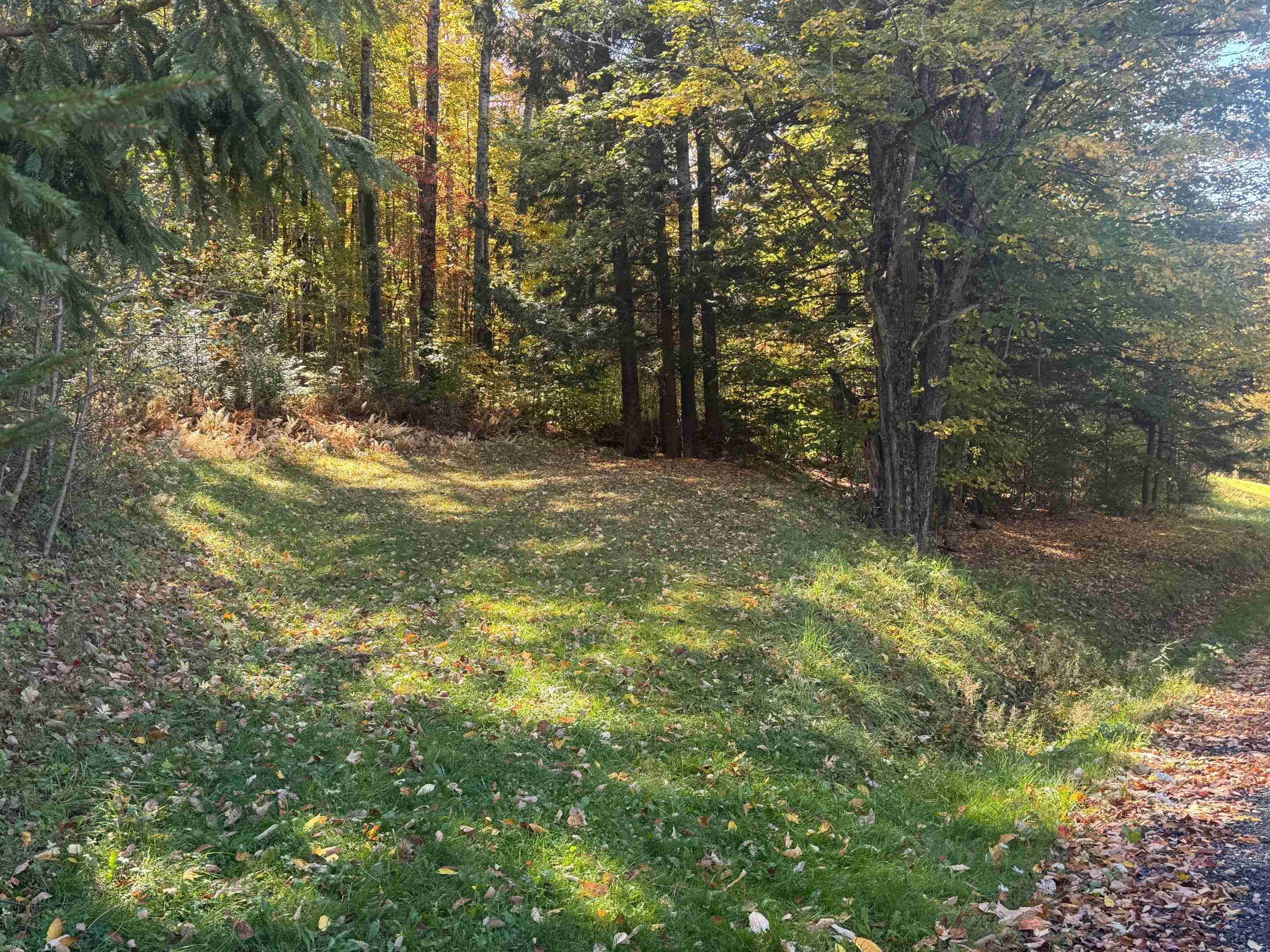 80 Wade Road Moretown, VT 05660 - Photo 5 of 19