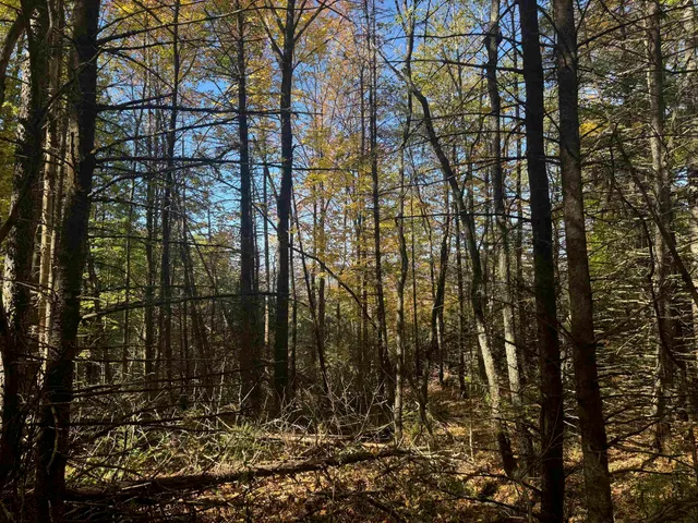 $165,000 | 80 Wade Road, Moretown, VT 05660