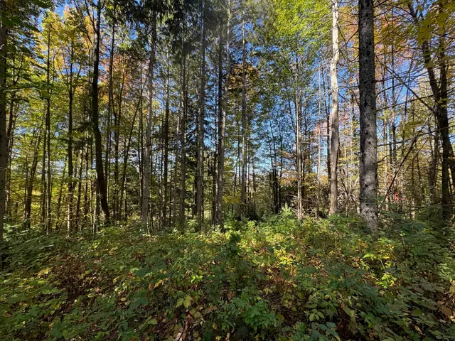 $165,000 | 80 Wade Road, Moretown, VT 05660