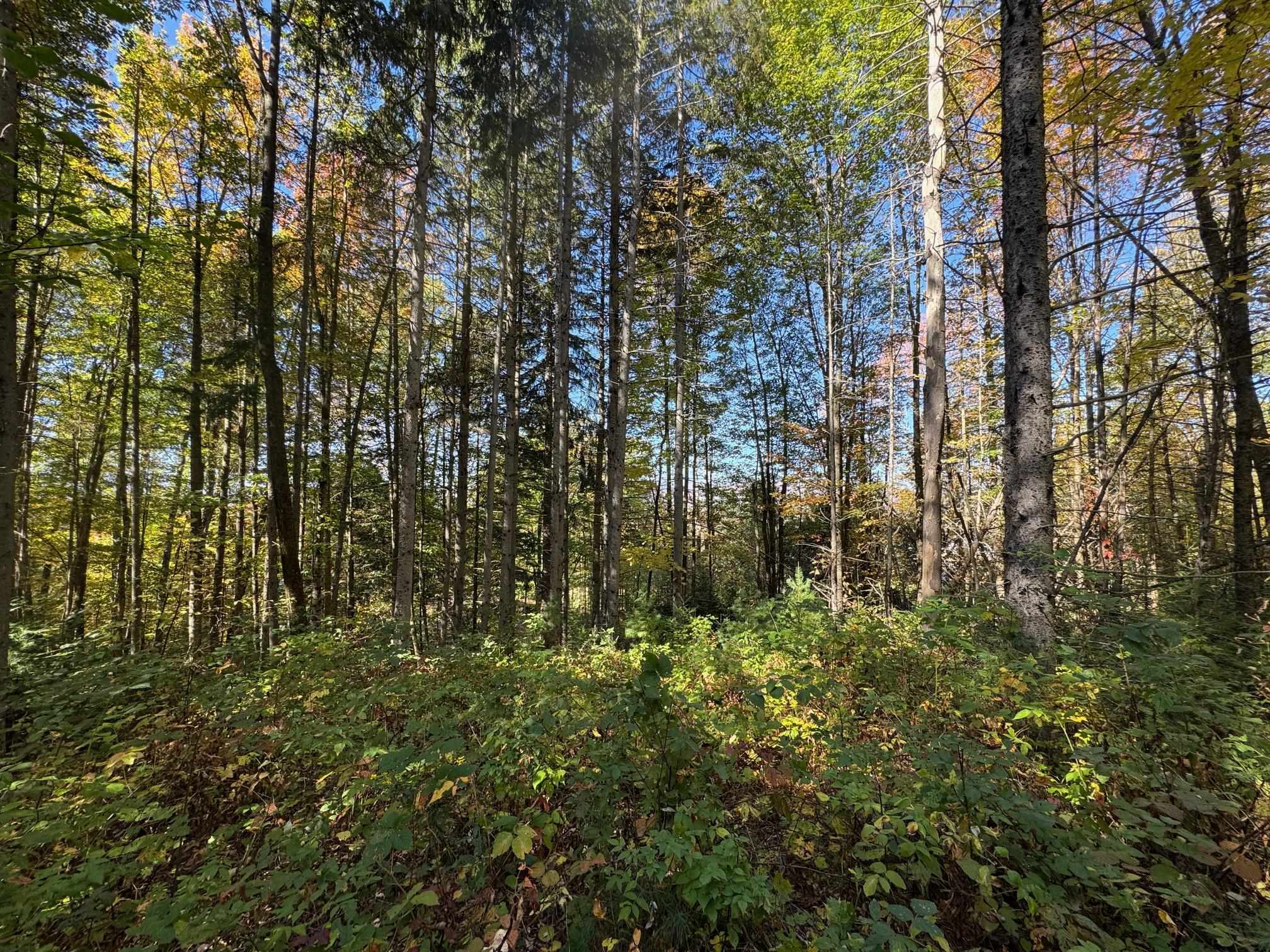 80 Wade Road Moretown, VT 05660 - Photo 7 of 19