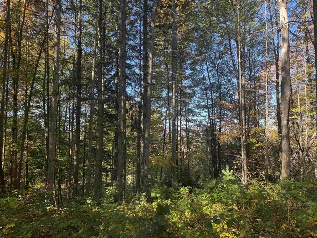 $165,000 | 80 Wade Road, Moretown, VT 05660