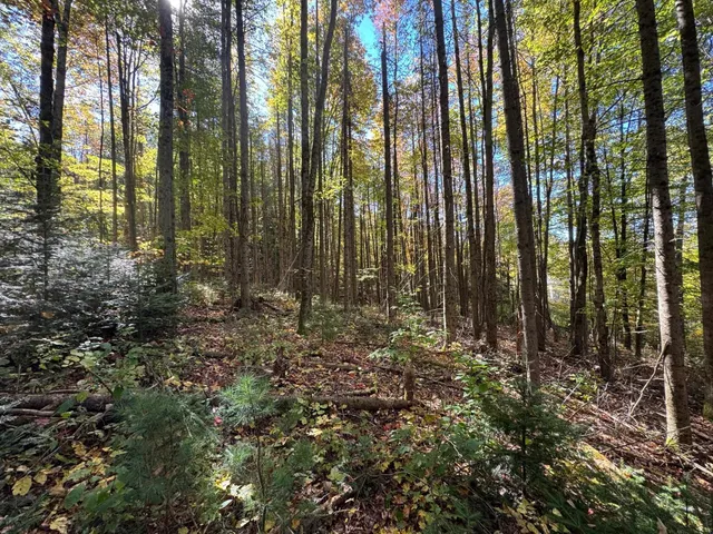 $165,000 | 80 Wade Road, Moretown, VT 05660