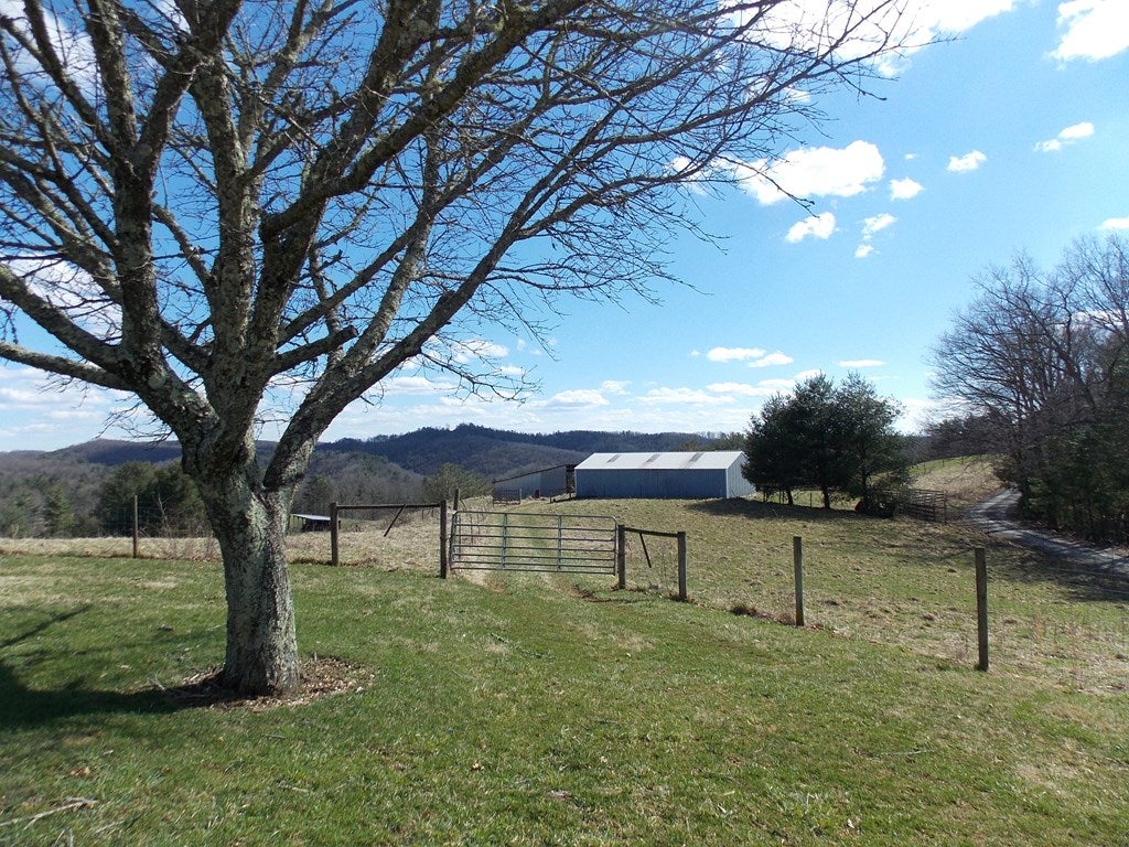 Gallery Image 6